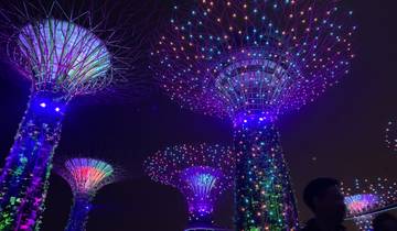 Colorful illuminated supertrees at night with a person partially visible.