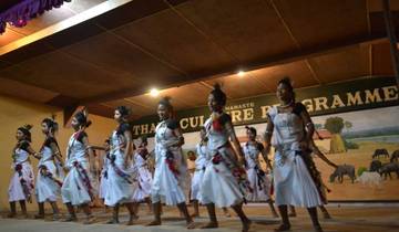 Cultural dance performance on stage.