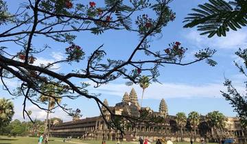 Angkor Wat temple complex with trees and flowers in the foreground.