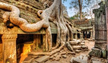 Ancient ruins with large tree roots growing over the structures.