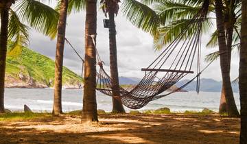 A hammock strung between palm trees on a beach.