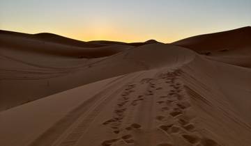 Sand dunes at sunset with visible tracks.