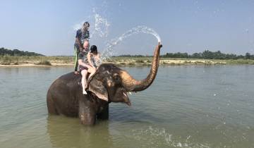 People on an elephant having fun in a river.