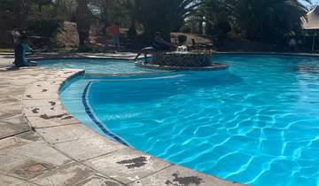 Swimming pool surrounded by palm trees and a clear sky.