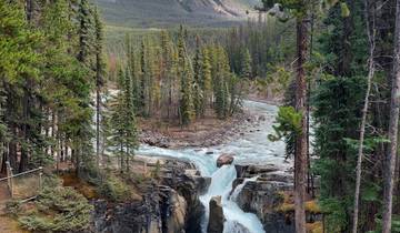 Waterfall amidst rocky terrain and tall evergreen trees.
