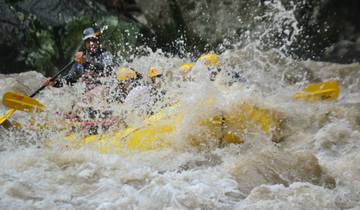 Group whitewater rafting in turbulent water.