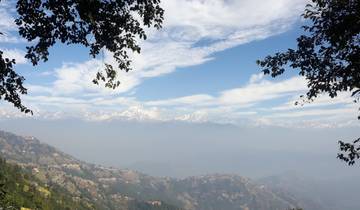 Mountain range with tree branches framing the view.