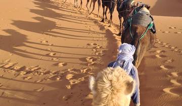 People riding camels through the sand dunes.