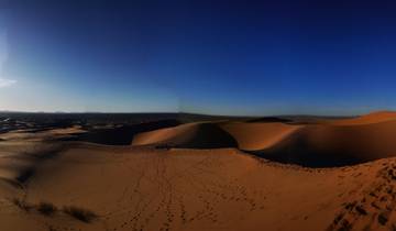 Vast desert landscape with rolling sand dunes under a blue sky.