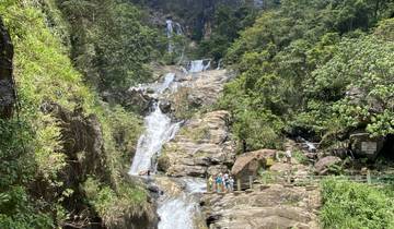 Waterfall cascading down a rocky cliff surrounded by dense greenery.