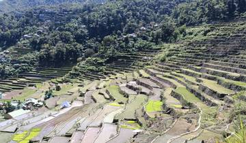 Terraced fields in a mountainous region.