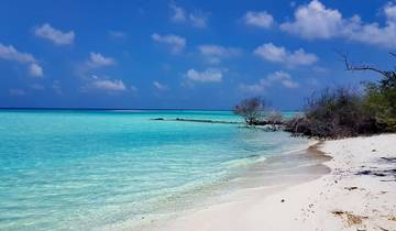 Pristine beach with clear turquoise waters and blue sky.