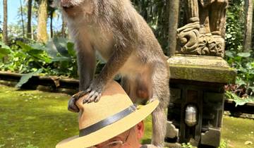 A person with a monkey on their shoulder in a tropical setting.