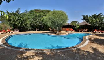 A resort pool surrounded by sun loungers and greenery.