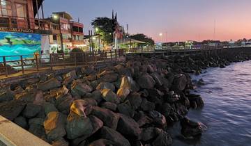 Seaside promenade with sea lions on rocks at sunset.