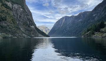 Serene fjord surrounded by tall mountains.