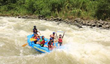 Group white-water rafting on a river.