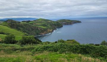 Lush green landscape with rugged coastline.