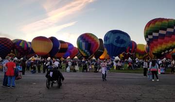 Colorful hot air balloons in a field with a crowd.