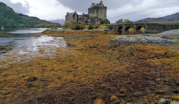 Castle by water with a stone bridge and rocky shore.