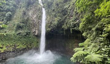 Tall waterfall cascading into a pool surrounded by lush forest.
