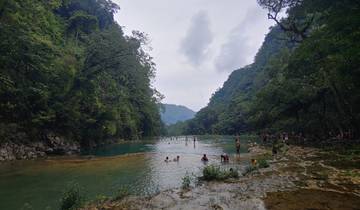 People swimming in a natural pool surrounded by jungle.