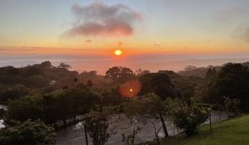Sunrise over a foggy and lush landscape.
