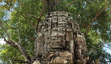 Ancient stone structure with a face carved into it surrounded by trees.