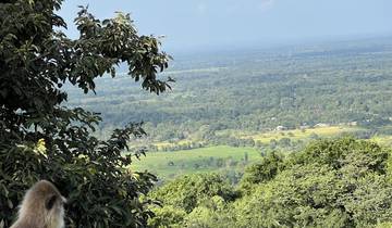 Scenic view of a valley with lush greenery.