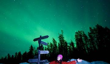Person under Northern Lights with signposts and trees.