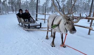 A reindeer pulling a sled with two people in a snowy landscape.