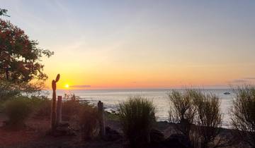 Sunset over the ocean with a cactus and bushes in the foreground.