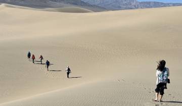 A group of people walking across sand dunes.