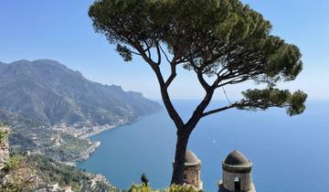 A scenic view of a coastline with mountains and a tree.