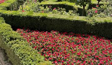 Well-maintained garden with vibrant red flowers and topiary designs.