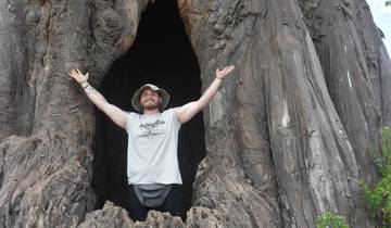 A person standing with arms raised inside a large tree.