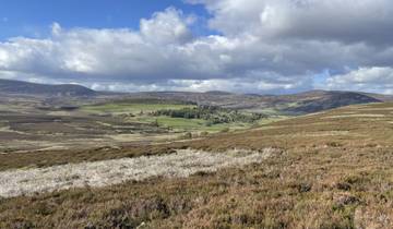 Wide landscape showing rolling hills with scattered trees and bushes.