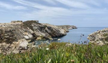 Rocky coastline with wildflowers and an expansive sea view.