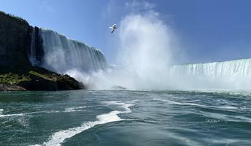 Niagara Falls with a seagull flying above the mist.