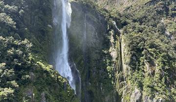 Waterfall flowing down a cliff in a lush area.