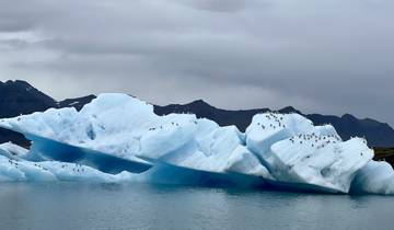 Icebergs floating in a glacial lake surrounded by mountains.
