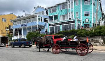 Horse-drawn carriage on a colorful street with blue, pink, and yellow buildings.