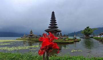 Ornate temple surrounded by water with a red flower in the foreground.