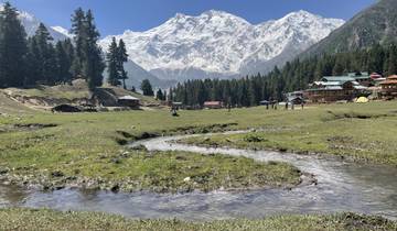 Scenic view of a valley with houses and snowy mountains.