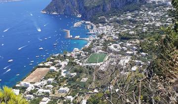 Aerial view of a coastal town with a marina.