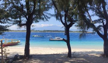 Beautiful beach view with boats and trees.