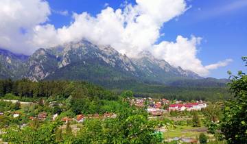 Village nestled in the Carpathian Mountains with vibrant greenery.