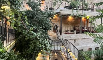 Charming terrace with lush greenery and stairs.