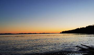 Sunset over a calm ocean with silhouetted trees.