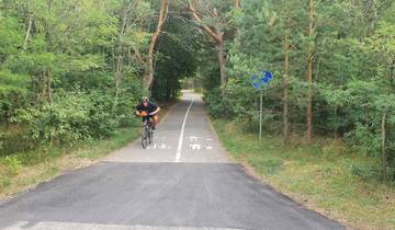 A person cycling on a forested trail.
